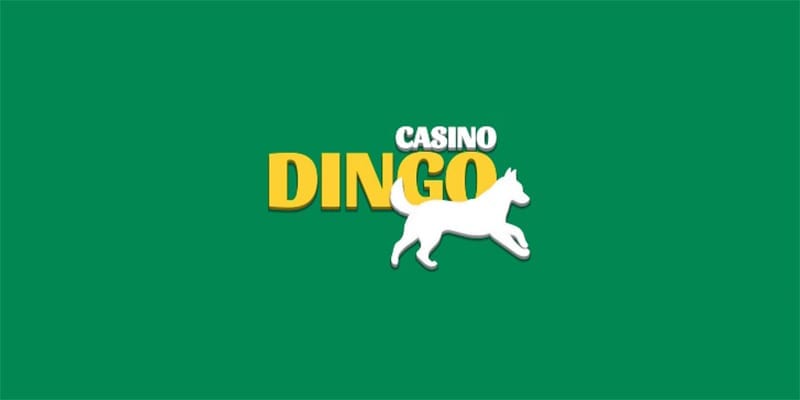 casino dingo logo