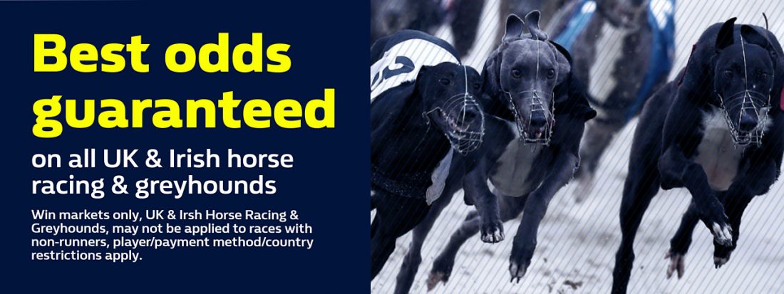 greyhound betting odds