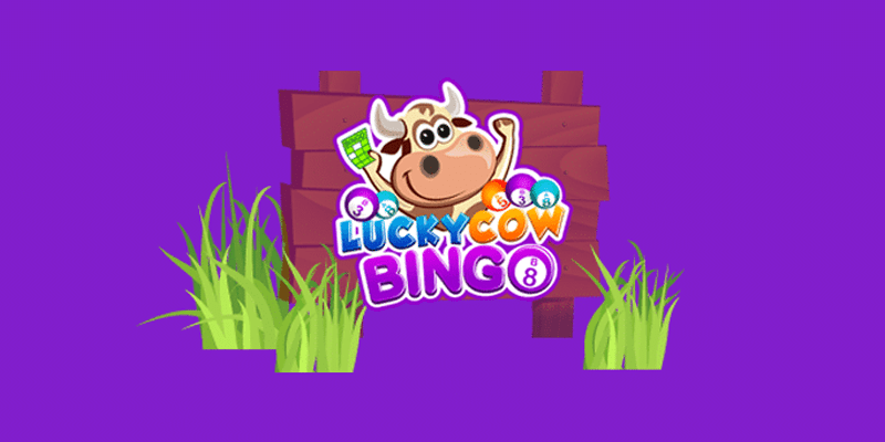 Lucky Cow Bingo Bonus