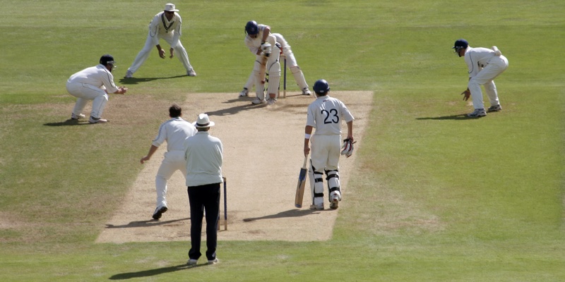 cricket betting