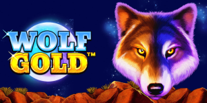 Wolf gold slot