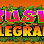 bush telegraph slot