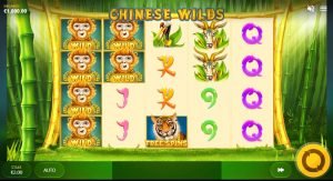 Chinese Wilds Slot Review – RTP, Features & Bonuses